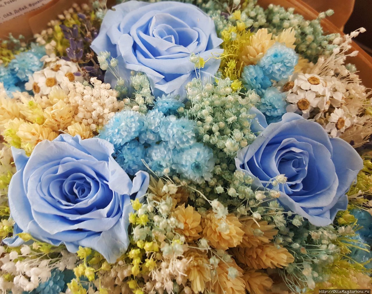 Говорят, в природе нет голубых роз, а в продаже есть:) Говорят, в природе нет голубых роз, а в продаже есть:)