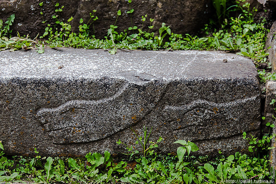 Неожиданные руины Чавин-де-Уантар, Перу