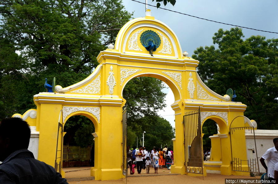 Три  религии  —  это  храмовый   комплекс   Катарагама... Катарагама, Шри-Ланка