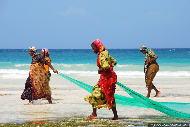 Во время отлива местные женщины собирают урожай всяких морских штучек Виктория-Фоллс, Зимбабве