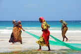 Во время отлива местные женщины собирают урожай всяких морских штучек
