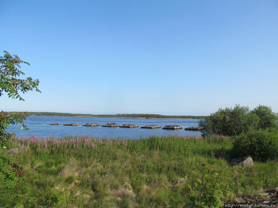 Сейдозеро, туда и обратно или хождение к трём морям. Часть1 Мурманская область, Россия