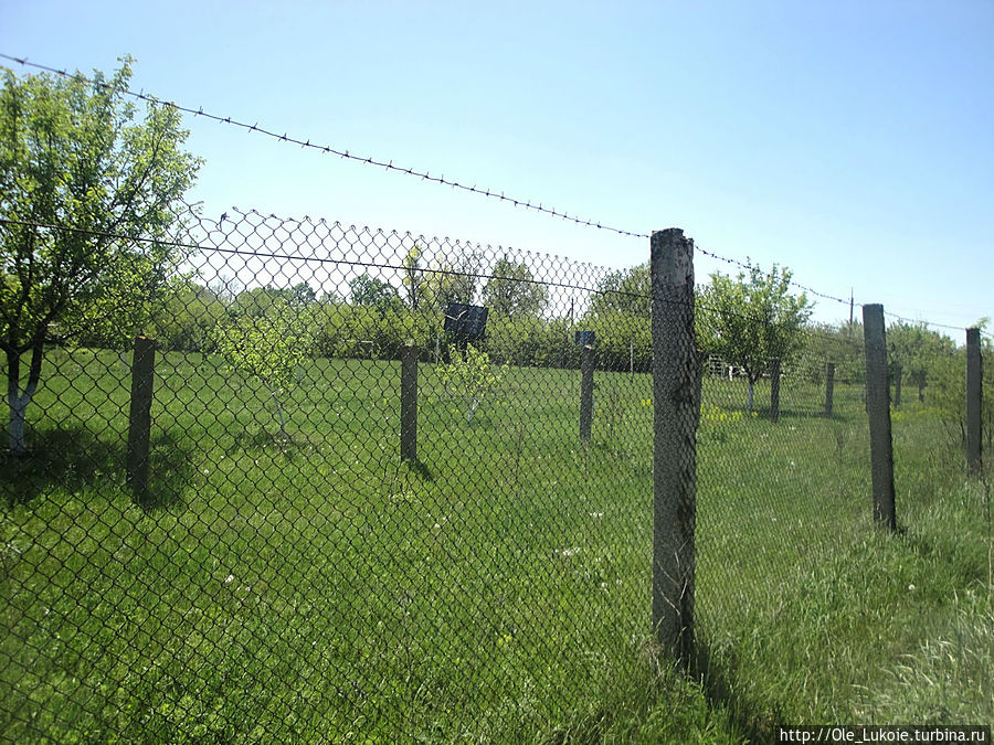 На территорию шахтно-пусковой установки пройти незамеченным было невозможно: несколько рядов охранительной изгороди реагировали на любую попытку ее преодоления — сигнал тревоги тут же подавался на пульт оператора