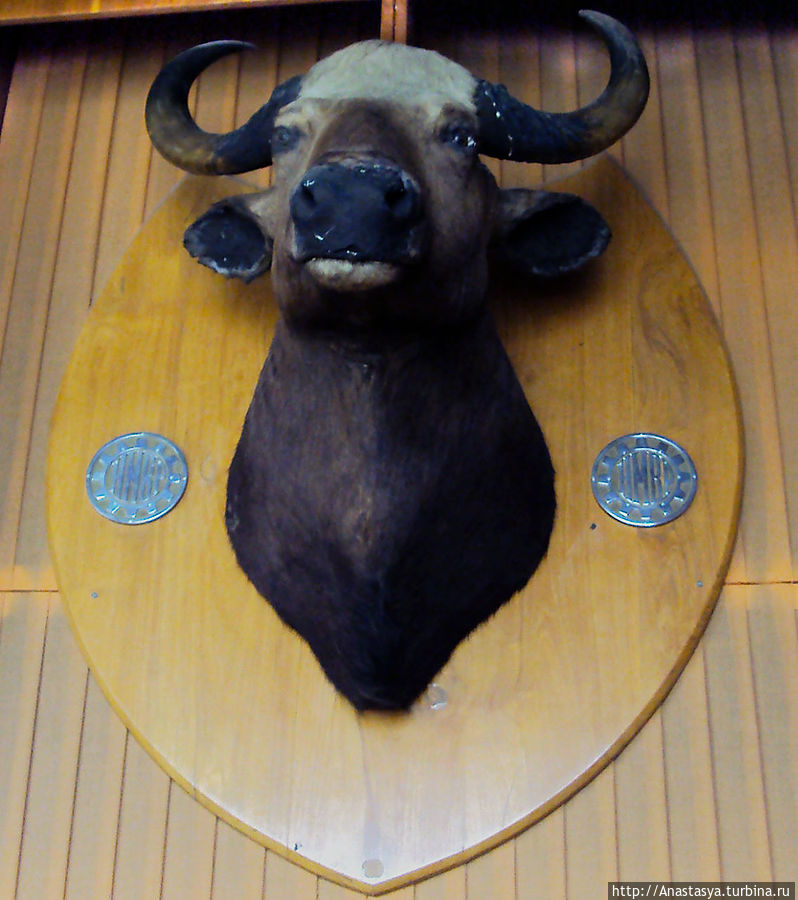 Подарок Уралмашу от Индиры Ганди.