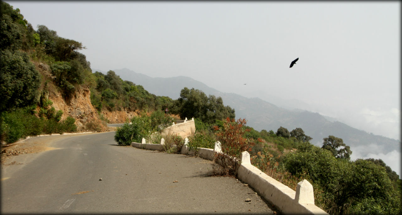 Пейзажи змеиной дороги Северная провинция Красного Моря, Эритрея