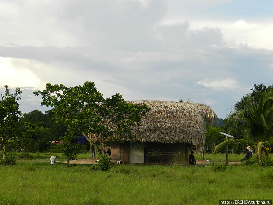 Дальние страны. Часть 9. Деревня Сурама и местный шаман Регион Потаро-Сипаруни, Гайана