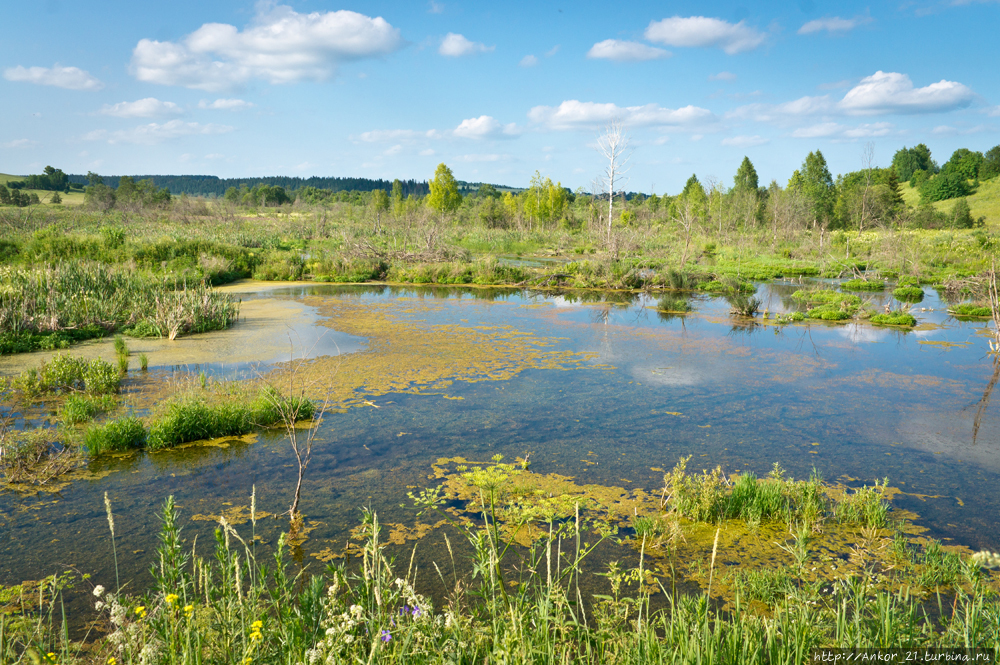 Васнецовское кольцо. Село Курчум Курчум, Россия