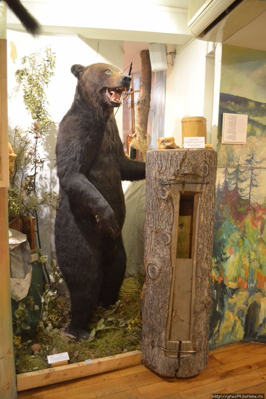 Российский музей леса Москва, Россия
