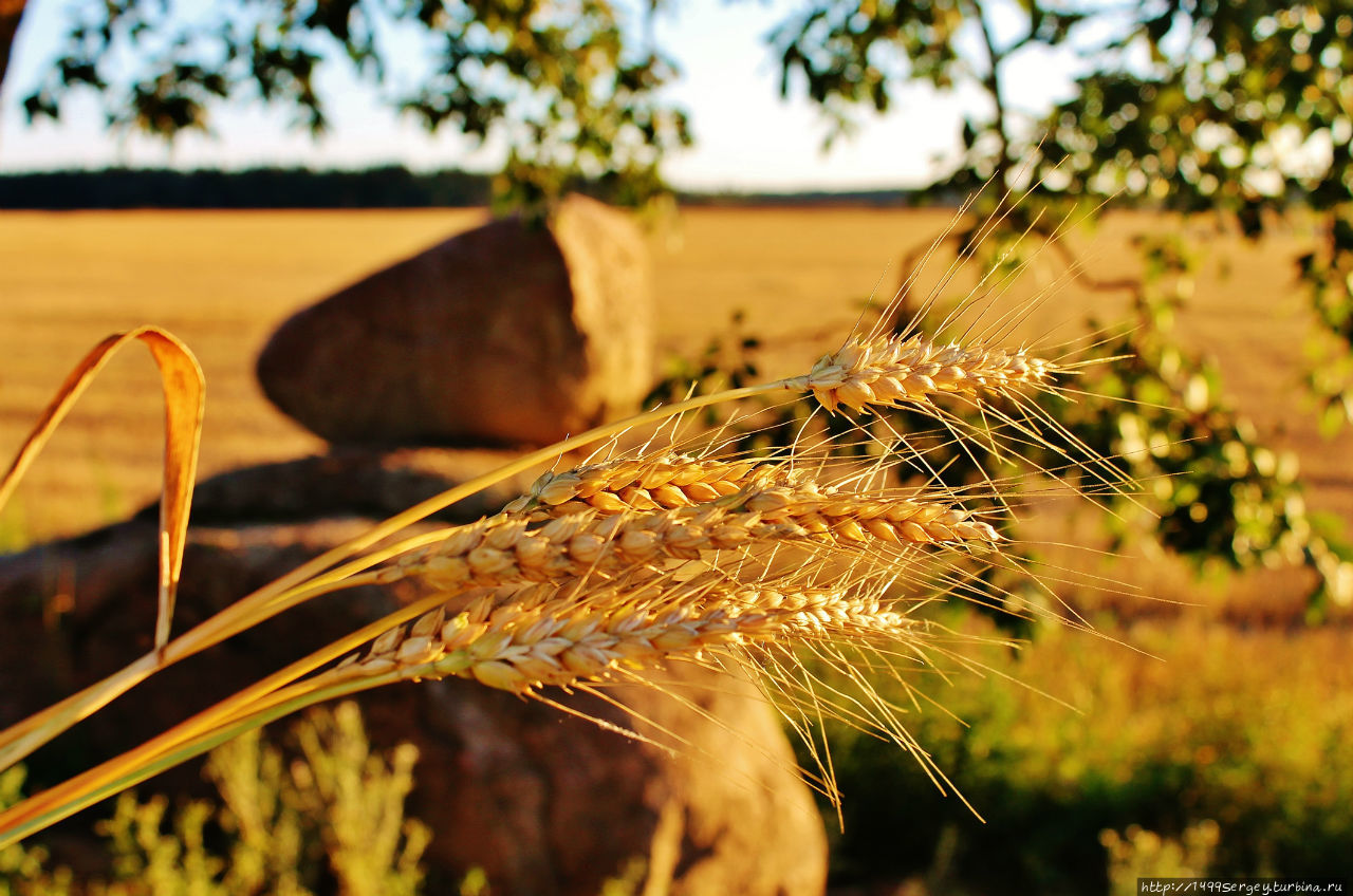 Воспоминания #3 Санкт-Петербург и Ленинградская область, Россия