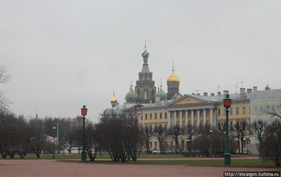 Утренний Петербург: три стадии знакомства Санкт-Петербург, Россия