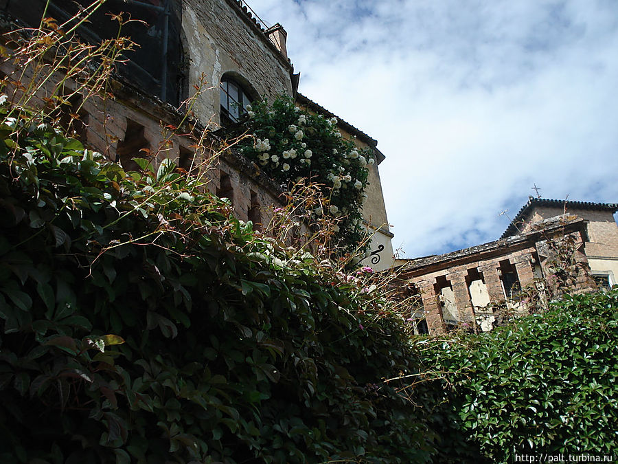 И старые стены тоже в цветущих розах. Ронда, Испания