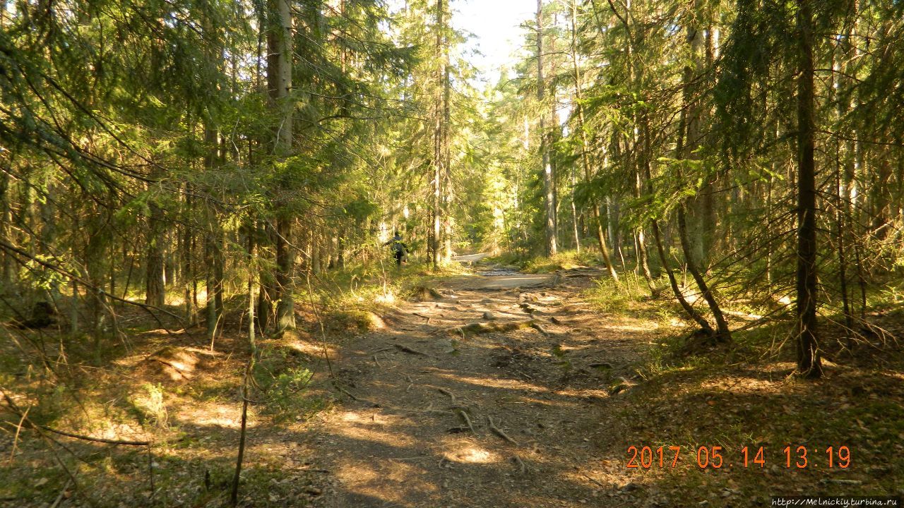 Один день в национальном парке «Сипоонкорпи» и городке Сипоо Cипункорпи Национальный Парк, Финляндия