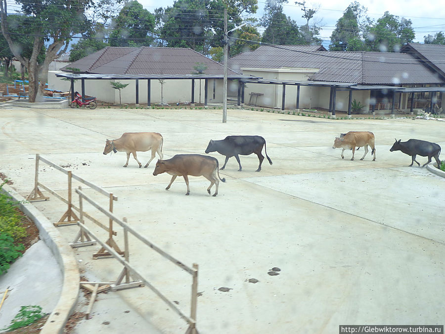 Город Аттапы Аттапы, Лаос