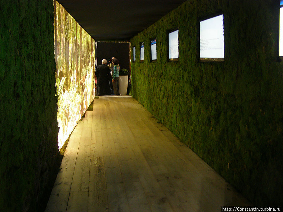 Зеленый коридор. Милан, Италия