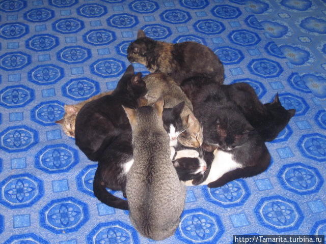 Озеро Инле и подставные падаунги Озеро Инле, Мьянма