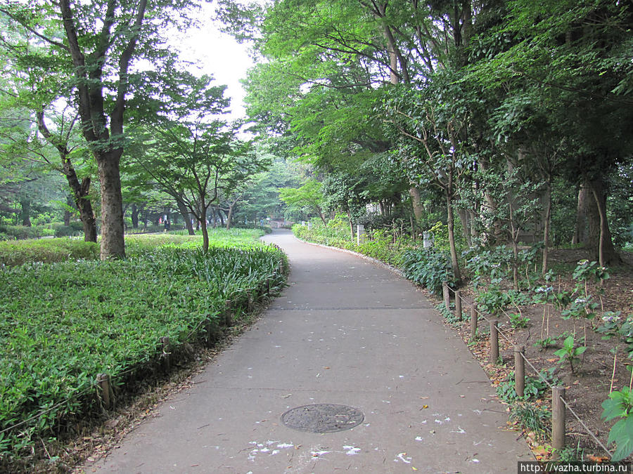 Знакомство с Токио. Парк Уэно Токио, Япония