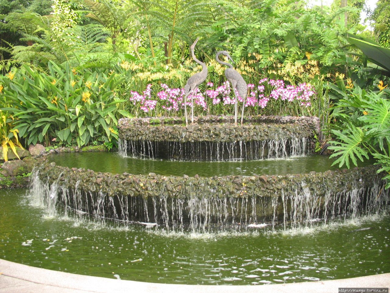 Ботанический сад Сингапура Сингапур (столица), Сингапур (город-государство)