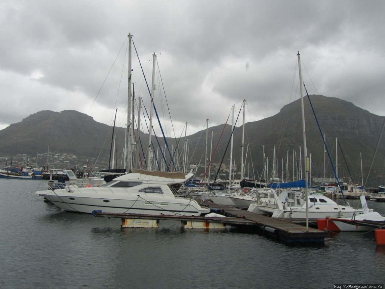 Круиз к острову котиков Кейптаун, ЮАР Круиз к острову котиков Кейптаун, ЮАР