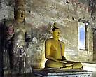 Кроме многочисленных статуй Будды в одной из пещер посетители могут видеть деревянную статую короля Валагамбаху, которого монахи, жившие здесь в 1 веке до нашей эры, приютили у себя, когда тот покинул оккупированную врагами Анурадхапуру. Король не сидел, сложа руки, а тоже принял участие в обустройстве храма, чем и заслужил о себе благодарную память потомков.