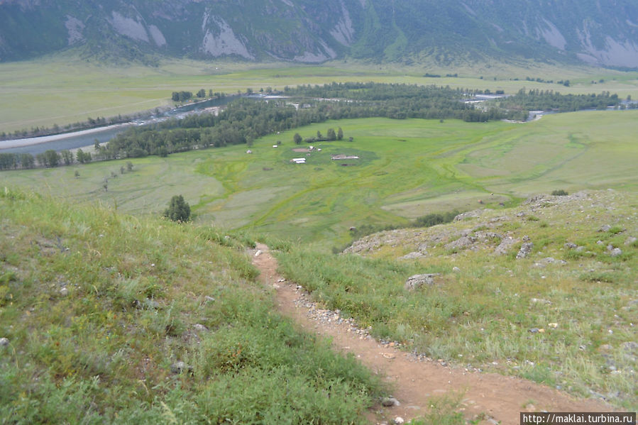 По грибы — в урочище Ак-Корум Республика Алтай, Россия
