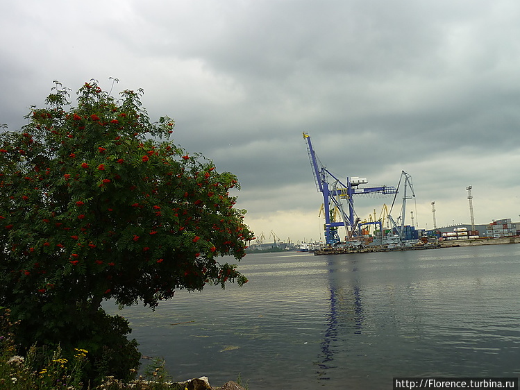 Август. Санкт-Петербург, 