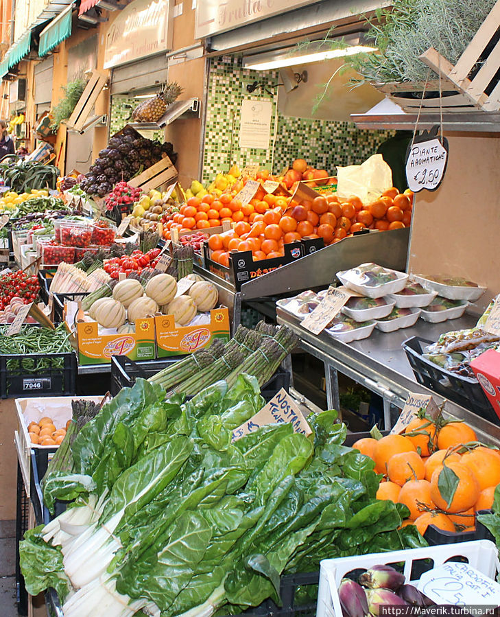 Чего здесь только нет...