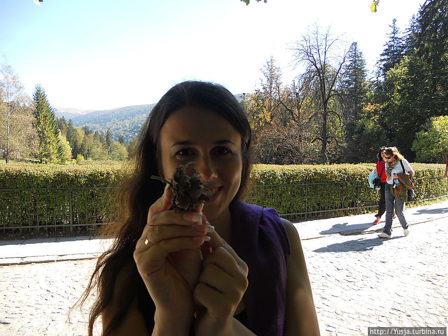 Хоть я и не Золушка, но три орешка, найденные около волшебного замка, естественно (с помощью мужа) исполнили мои желания)))