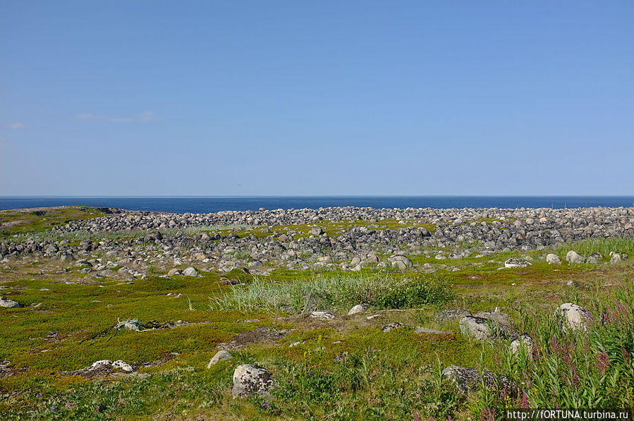 Пляж у моря,... у Баренцева Териберка, Россия