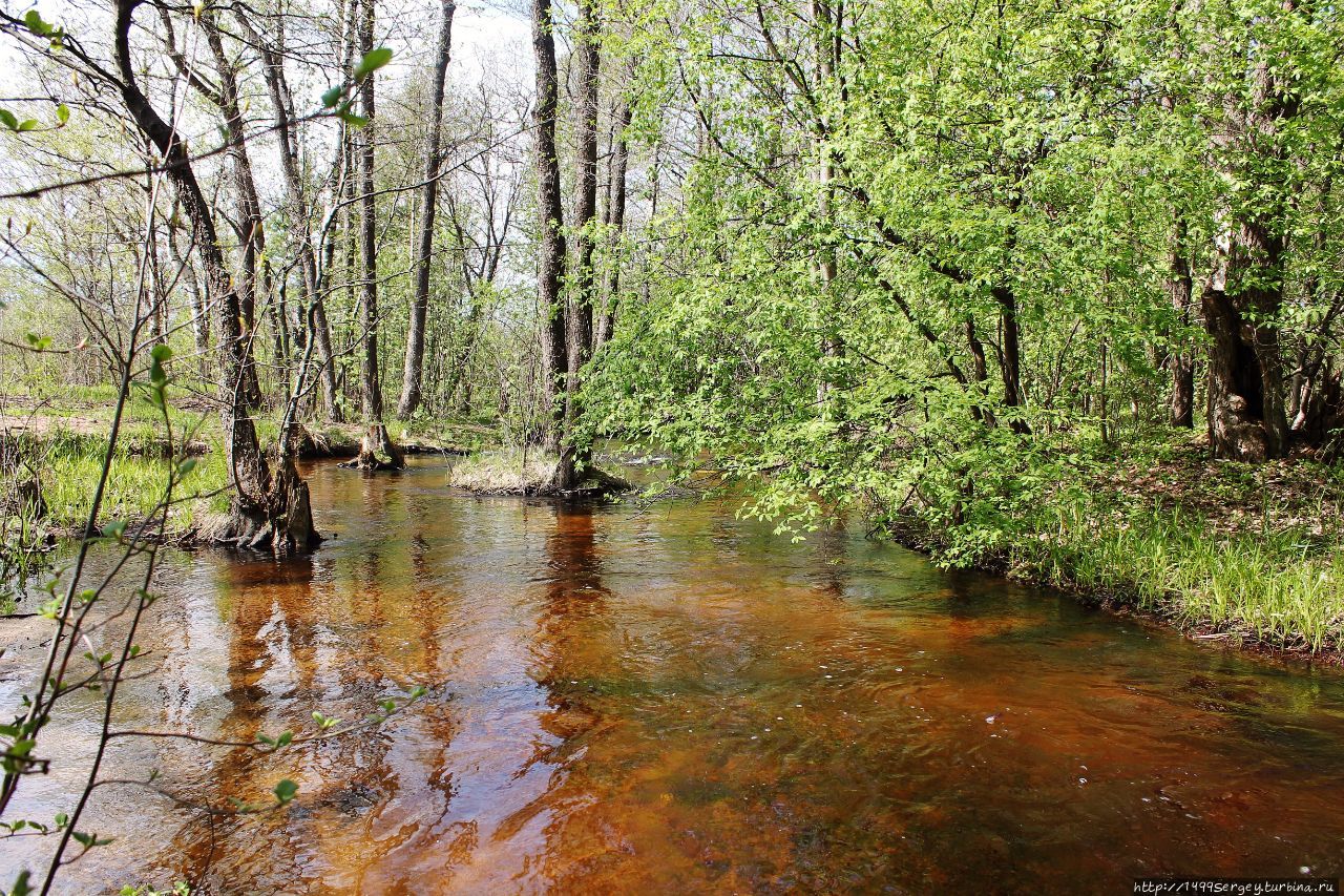 Гневная река Вихайоки (Vihajoki). Не канувшая в Лету Приморск, Россия