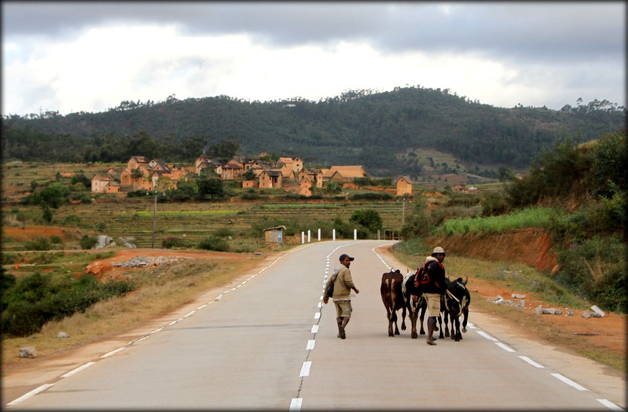 Мадагаскарские хроники — Амбуситра и дорога в Раномафану
