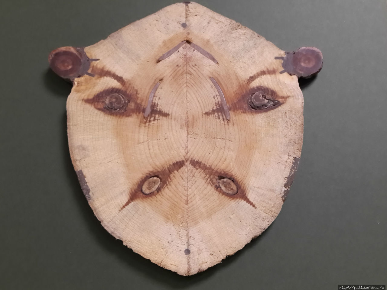 Сердитая мордочка