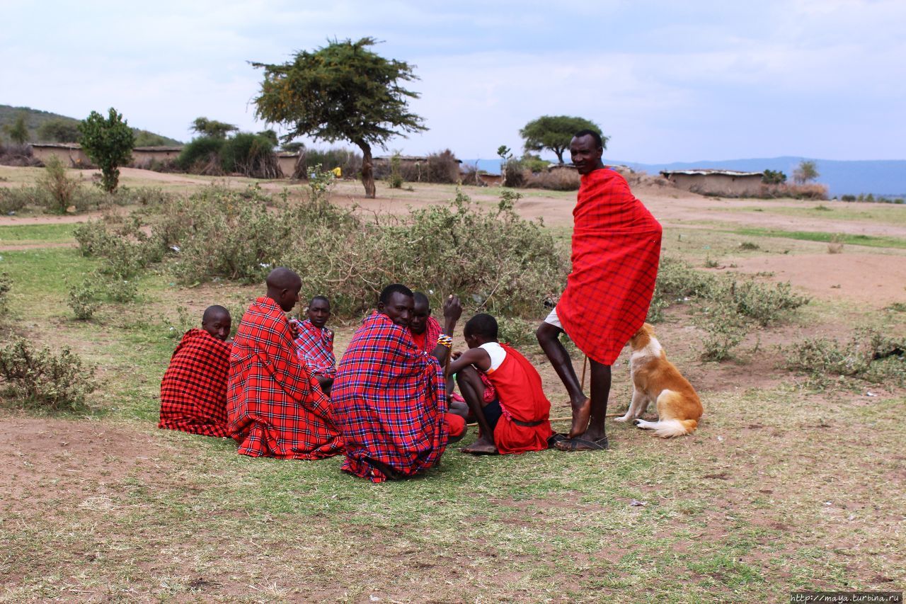 Земля Масаев Масаи-Мара Национальный Парк, Кения