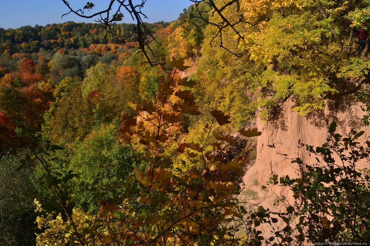 ландшафтный заповедник Рокай, Литва