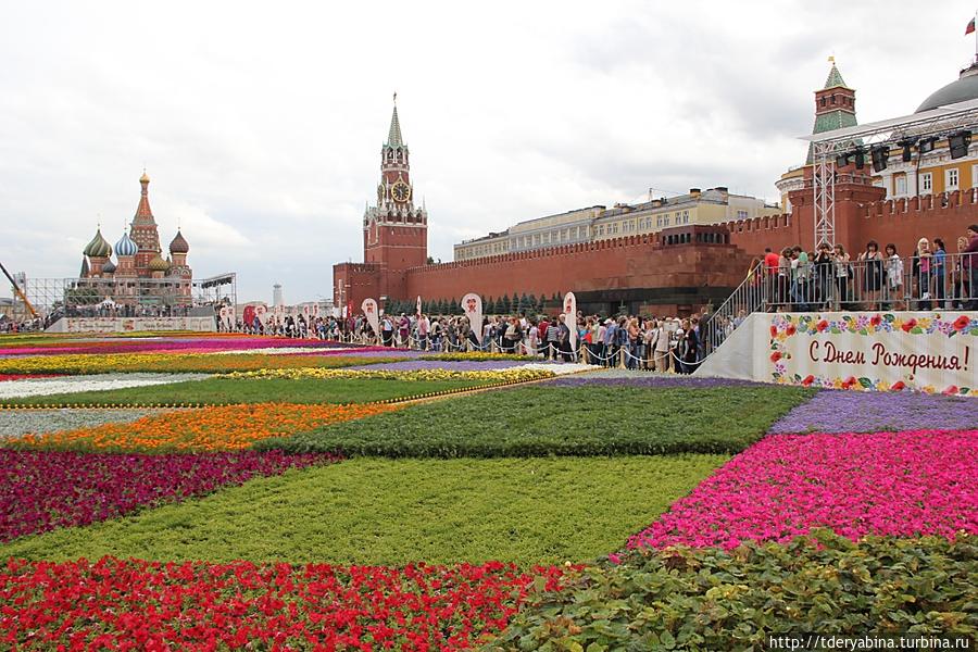 Благоухающий ковер Красной площади Москва, Россия