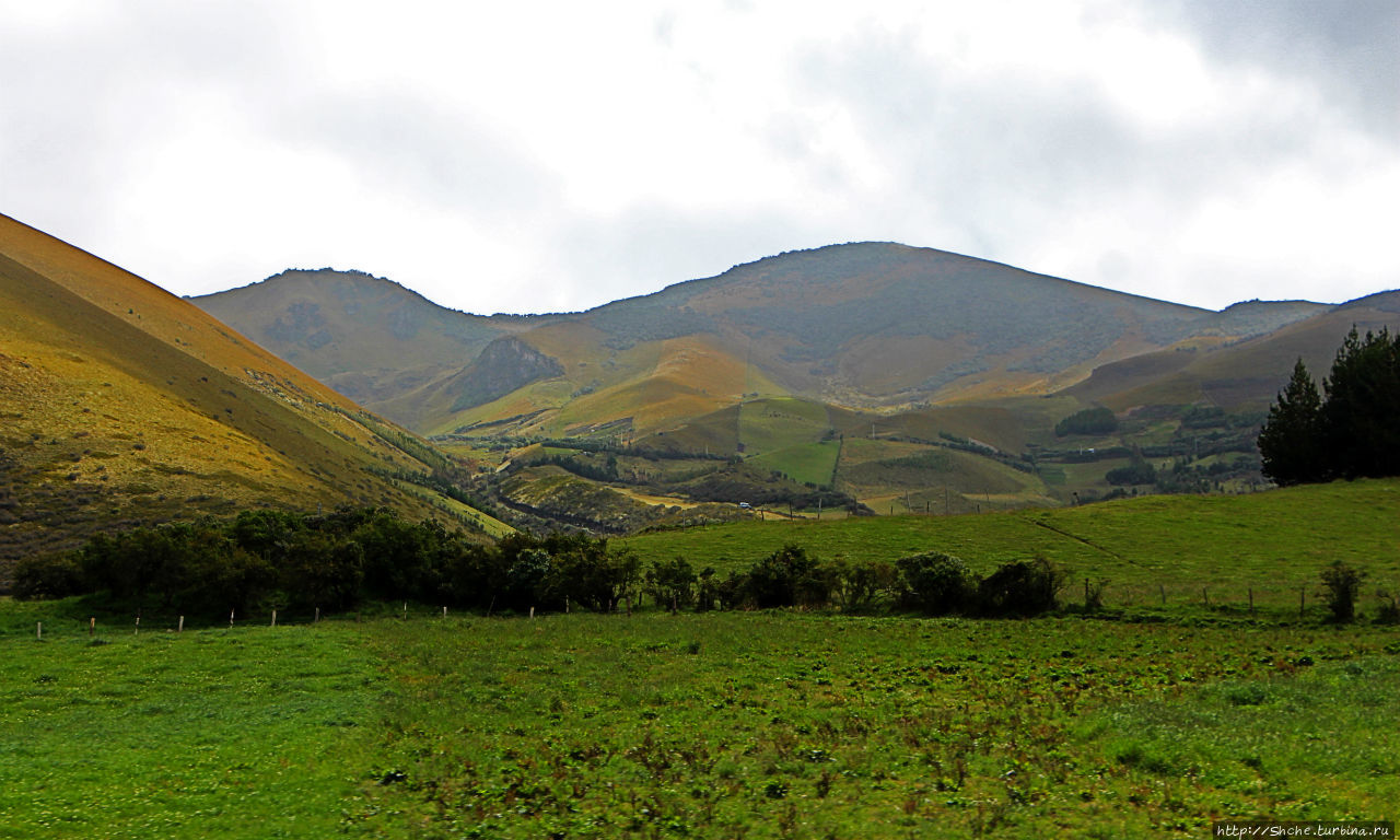 N.P. Cayambe-Coca — горы, реки, водопады. Дорога в облаках Кайамбе-Кока Экологический Заповедник, Эквадор