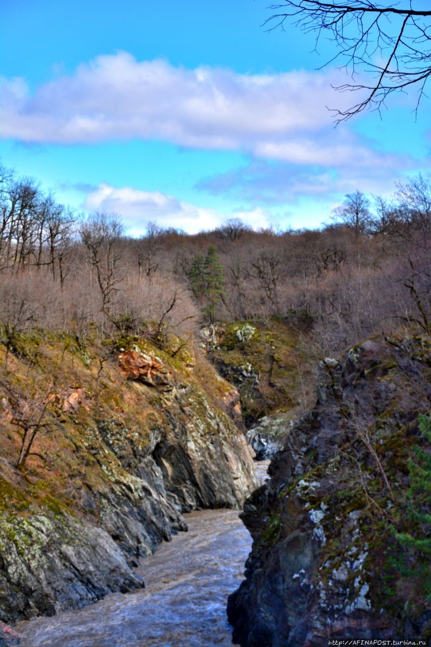 Река Белая Каменномостский, Россия