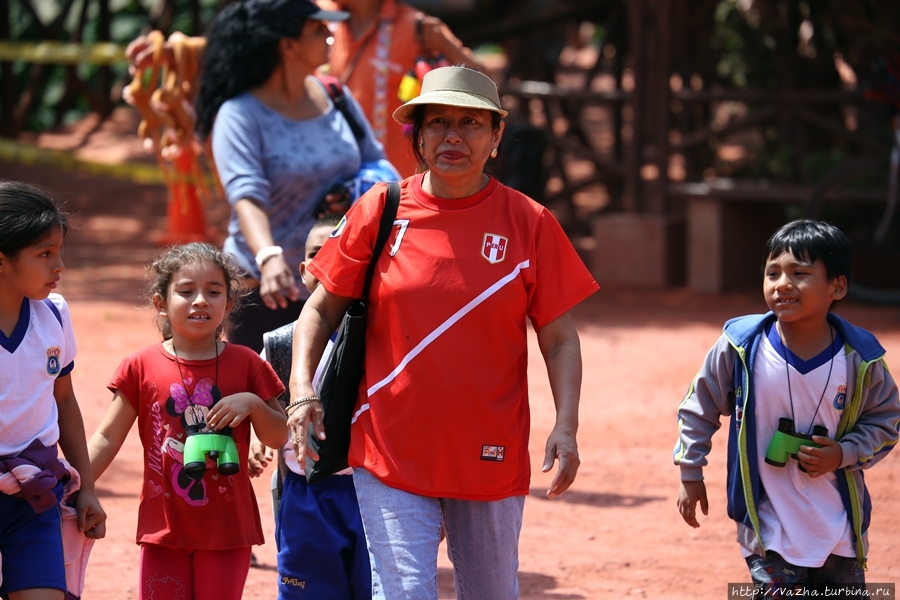 Зоопарк Лимы Лима, Перу