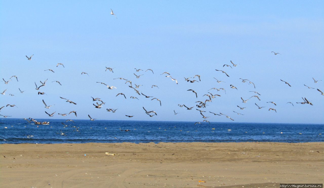 Осенние этюды Долинск, Россия