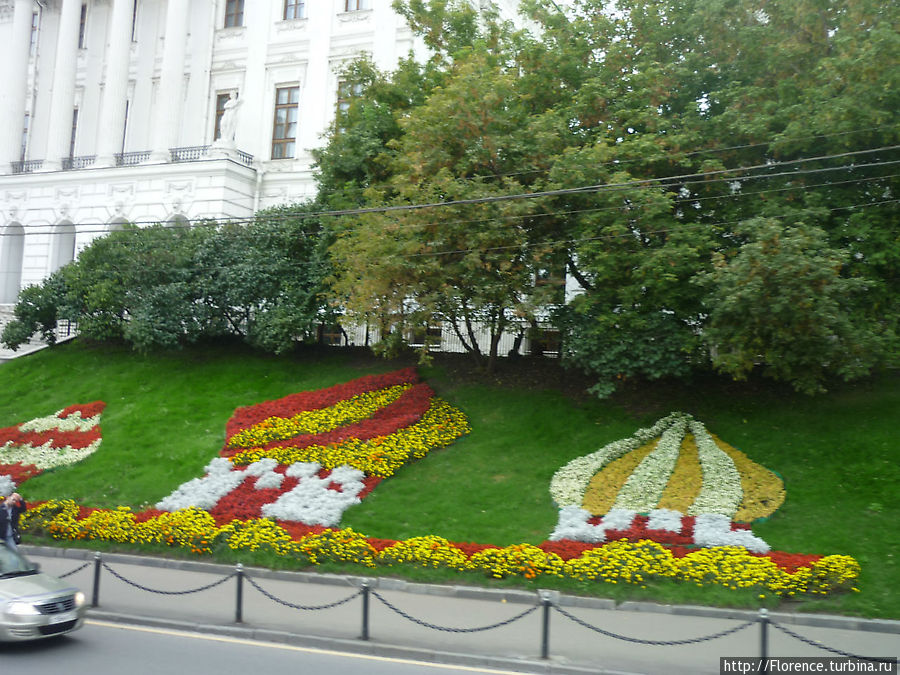Цветочный узор рядом с домом Пашкова Москва, Россия