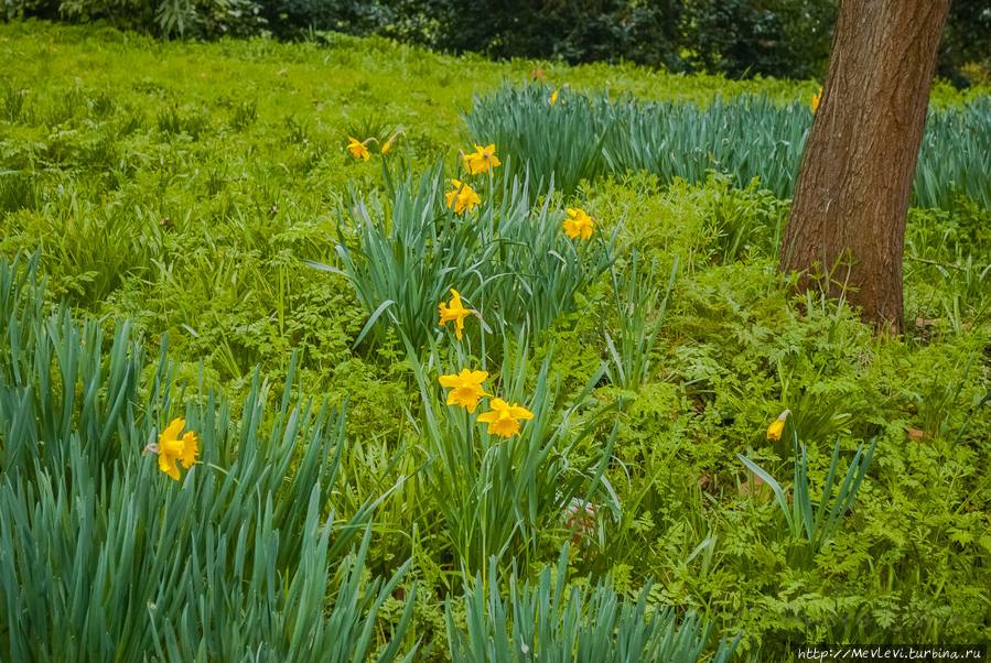 Через мост Челси Лондон, Великобритания