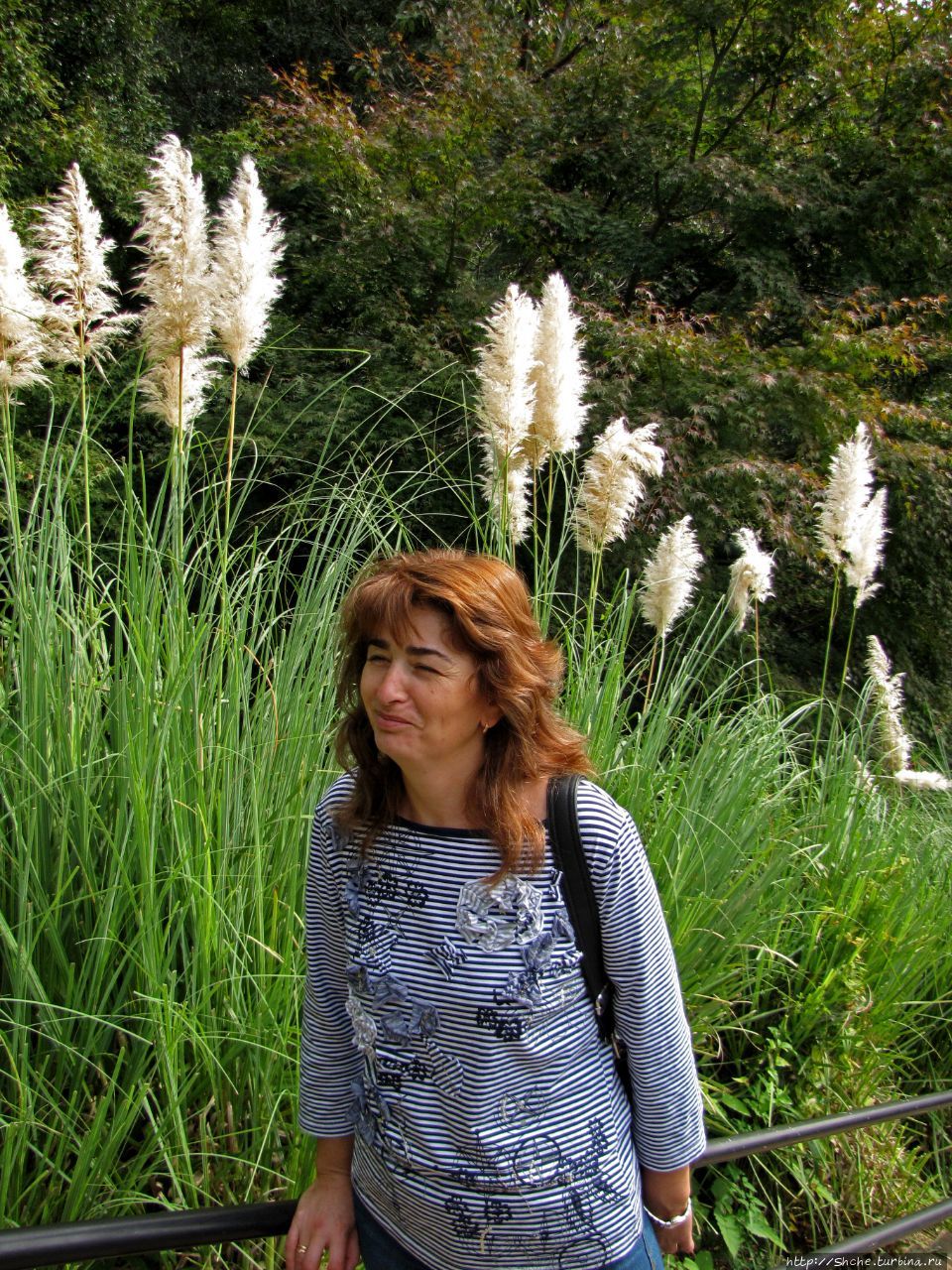 Травяной Сад Нунобики Кобэ, Япония