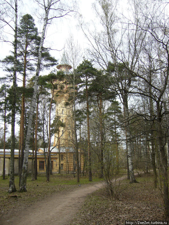 Я этим городом храним. По бывшей немецкой колонии Санкт-Петербург, Россия