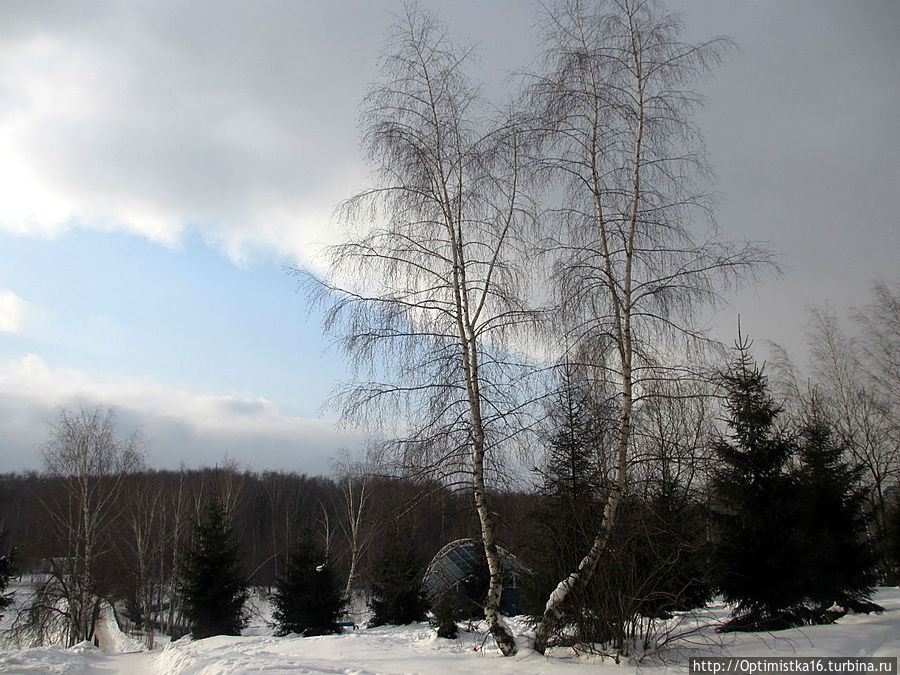 Прогулки в лесу Тёплого Стана Москва, Россия