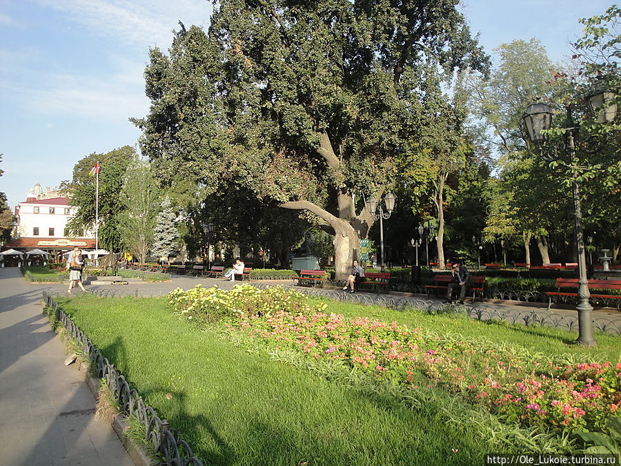 Городской сад Одесса, Украина