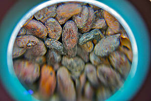 вот так они выглядят через лупу