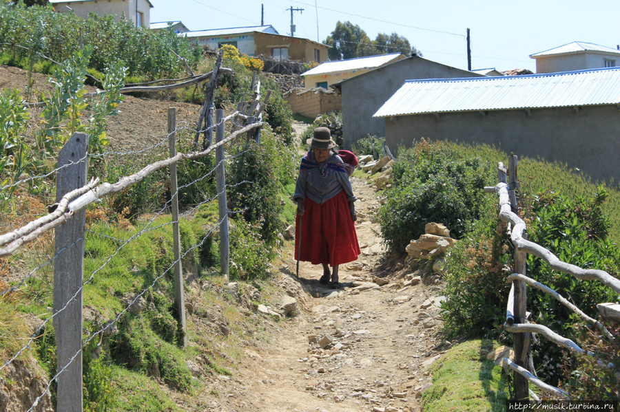 Местные жители. Бабушка рассказала нам, что тут выращивают местные жители. Копакабана, Боливия