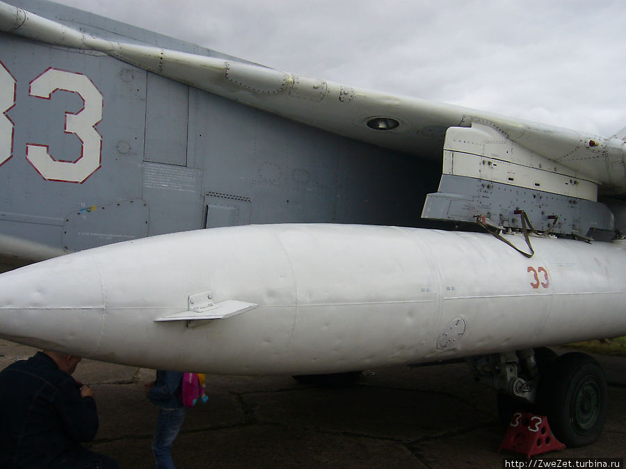 Небо — их дом Пушкин, Россия