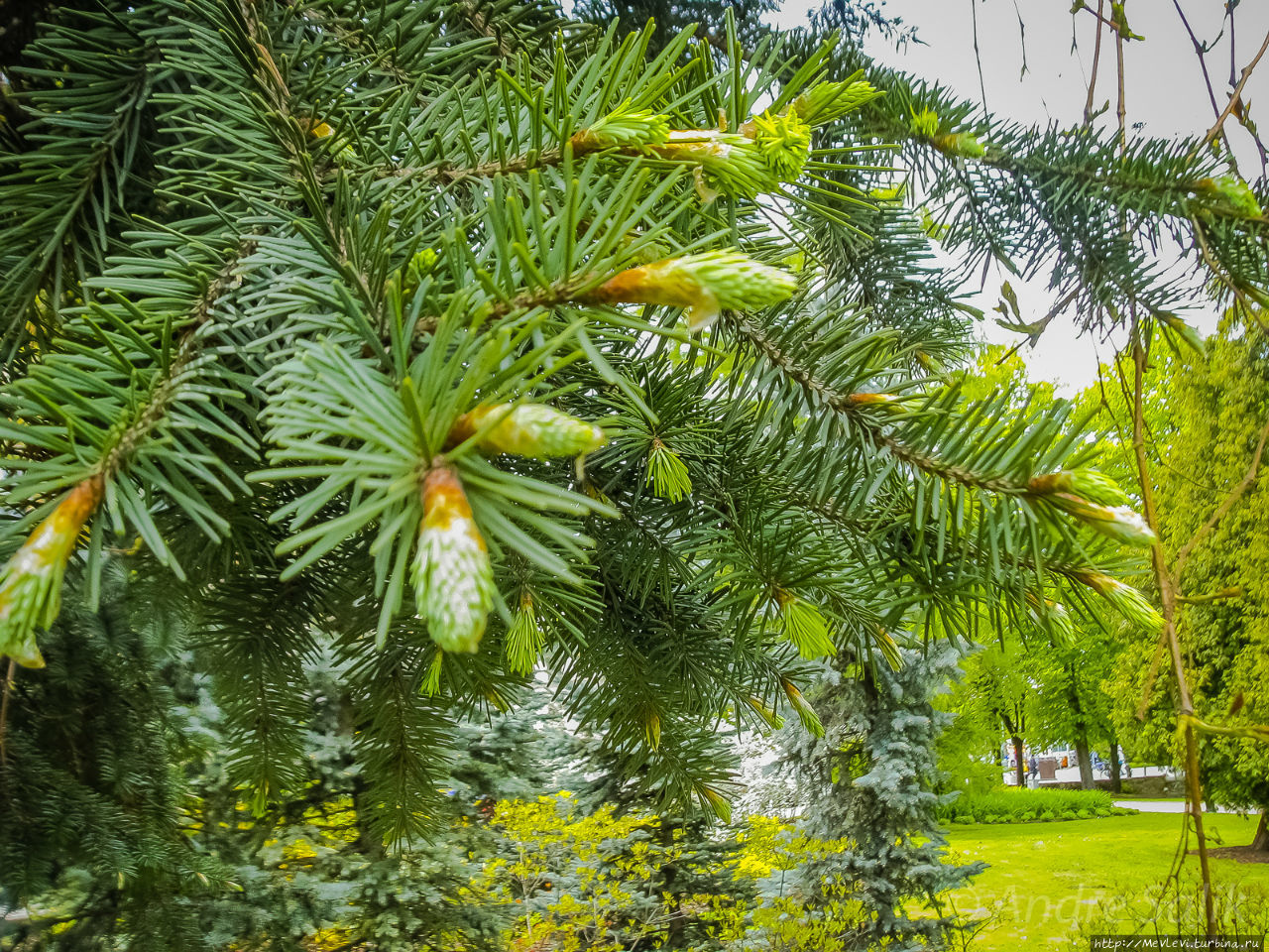 Весенние фотографии из Риги Рига, Латвия