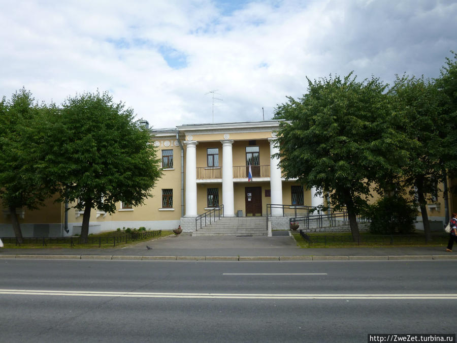 Под соснами Северной Ривьеры Сестрорецк, Россия