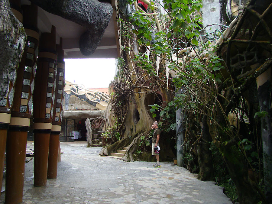 Пенек и лабиринт кишечника Далат, Вьетнам